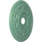 Ekena Millwork Baltimore PVC Medallion (Canopies up to 7 3/4"), 22"OD x 3 1/2"ID x 1"P, Metallic Sea Mist CMP22BAFSM - alternate 2